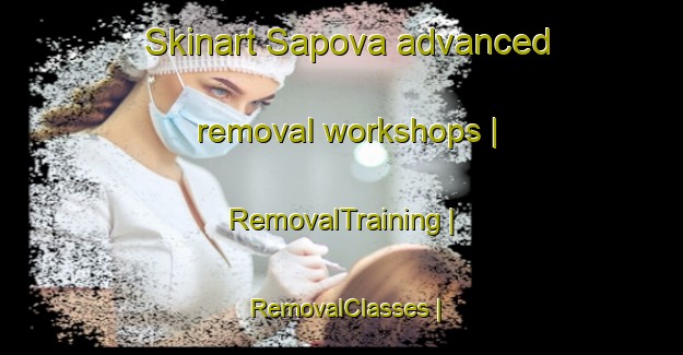 Skinart Sapova advanced removal workshops | RemovalTraining | RemovalClasses | SkinartTraining-Lithuania
